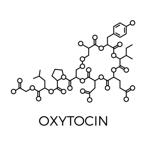 Line drawing of the skeletal chemical structure of the oxytocin molecule, a chain of linked rings and bonds.