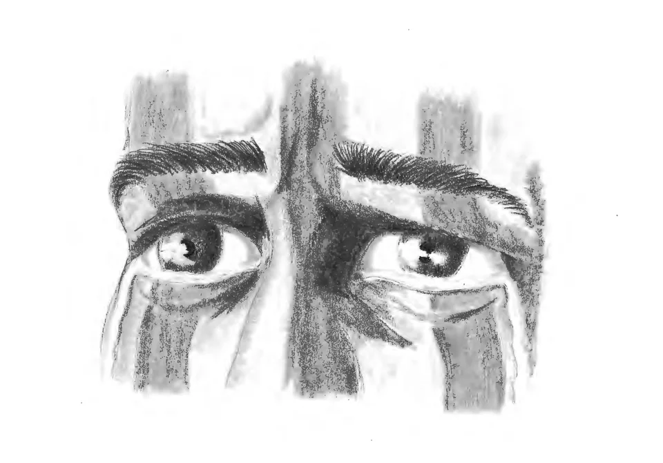 Graphite drawing of a close-up of a pair of eyes and furrowed brows, framed by dark vertical bars.