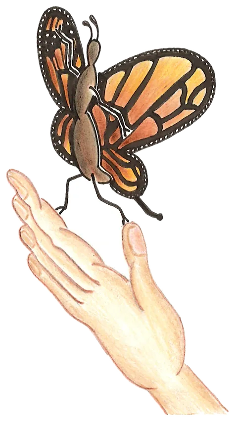 Colored-pencil drawing of a monarch butterfly with orange and black wings perched on the fingertips of an outstretched open hand. The full-page scan also contains small handwritten notes at the top and a signature at the lower left.